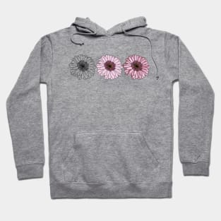 Three Gerberas Floral Drawing Hoodie